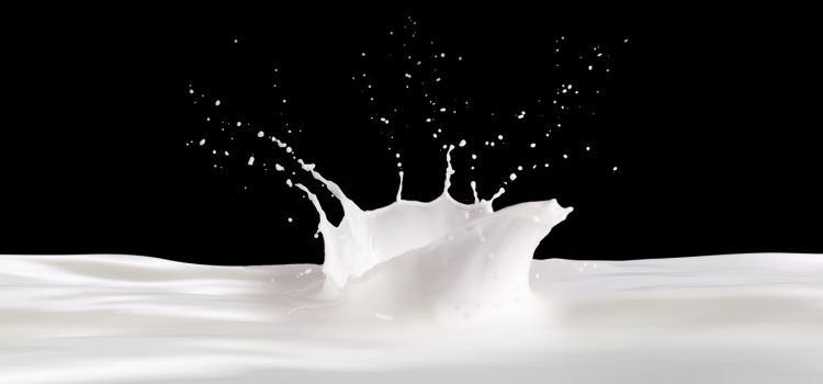 Pieno supirkimas iš pieno gamintojų ir mokama kaina 2021 m. sausio–lapkričio mėn.