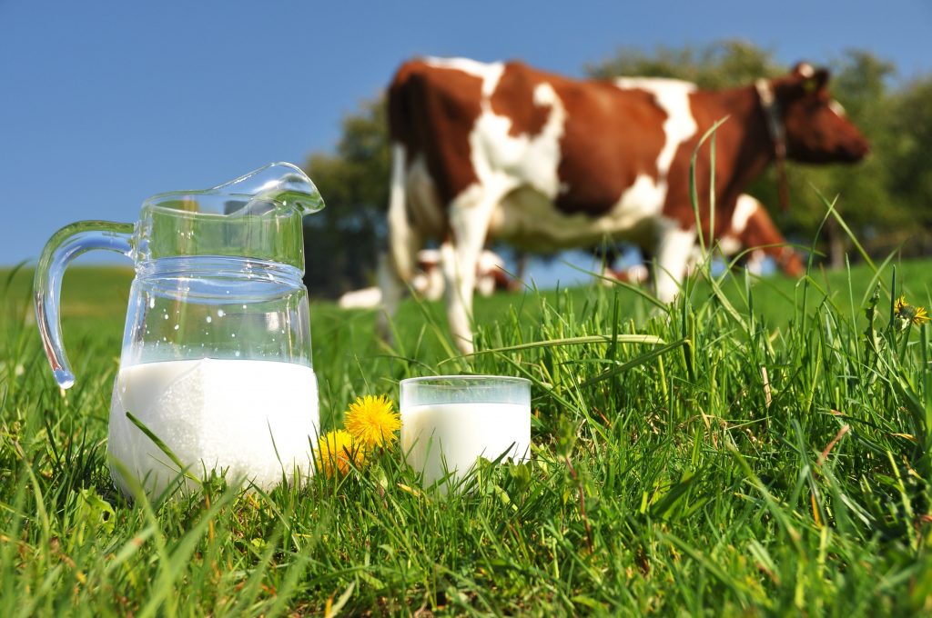 Pieno supirkimas iš pieno gamintojų ir 2022 m. sausio–kovo mėn. mokama kaina
