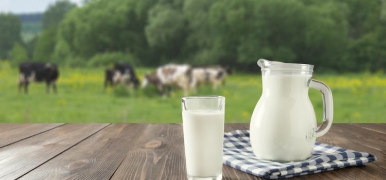 Pieno supirkimas iš pieno gamintojų ir 2022 m. sausio–birželio mėn. mokama kaina