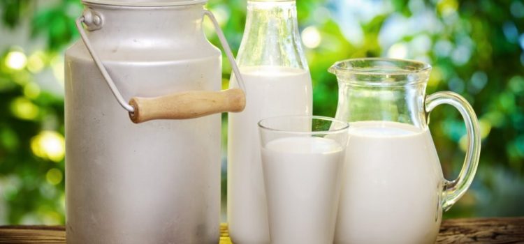 Informacija apie vidutines pieno supirkimo kainas ir supirktą pieną 2022 m liepos