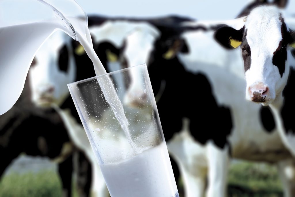 <strong>Pieno supirkimas iš pieno gamintojų ir 2023 m. sausio mėn. mokama kaina</strong>