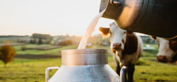 Pieno supirkimas iš pieno gamintojų ir 2023 m. sausio ─ vasario mėn. mokama kaina