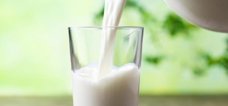 Informacija apie vidutines pieno supirkimo kainas ir supirktą pieną 2023 m. gegužės mėnesį