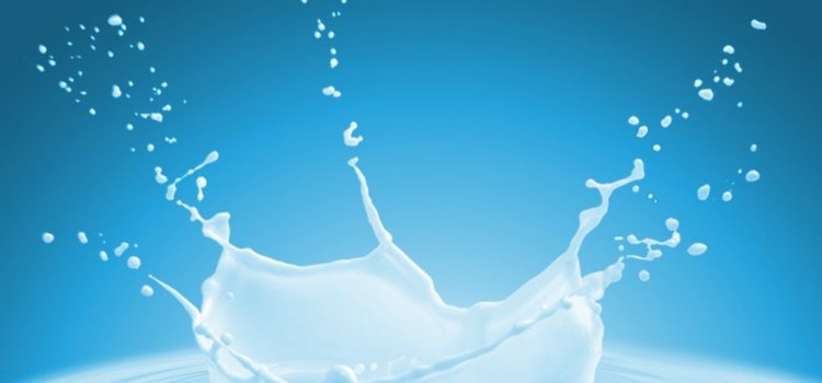 Informacija apie vidutines pieno supirkimo kainas ir supirktą pieną 2023 m. rugsėjo mėnesį